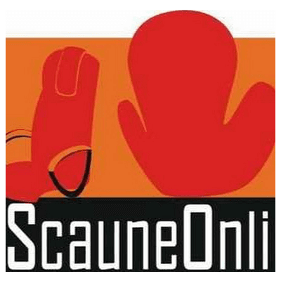 Scaune Online