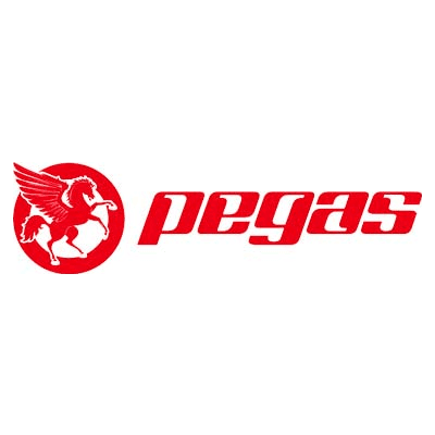 Bicicleta Pegas