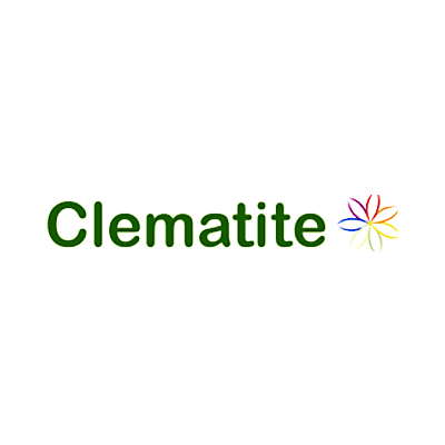 Clematite