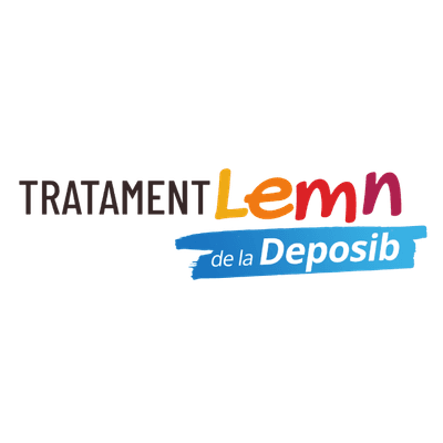 Tratamente Lemn