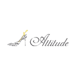 AttitudeShoes