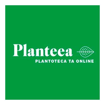 Planteea