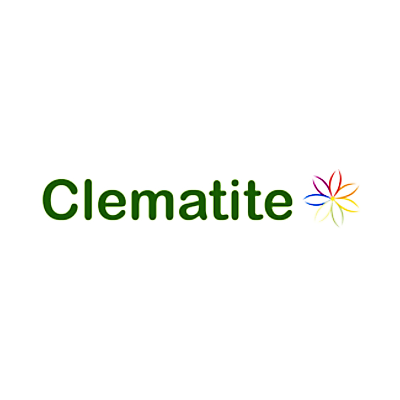 Clematite